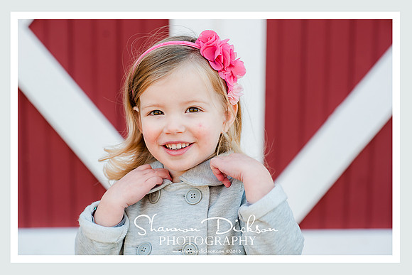 Ballard Park, Ridgefield and Ambler Farm, Wilton CT Family Photographer