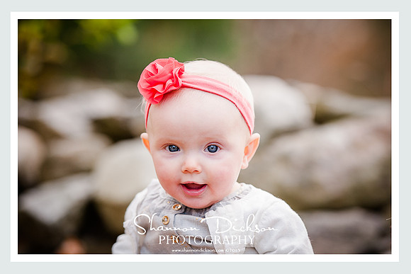 Ballard Park, Ridgefield and Ambler Farm, Wilton CT Family Photographer