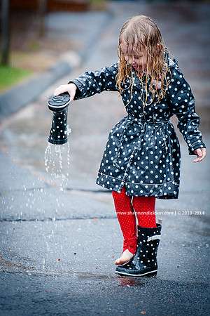 Rain - Blog 09