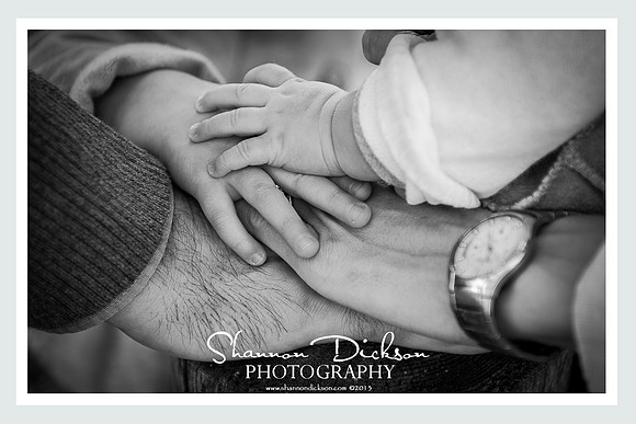 Ballard Park, Ridgefield and Ambler Farm, Wilton CT Family Photographer