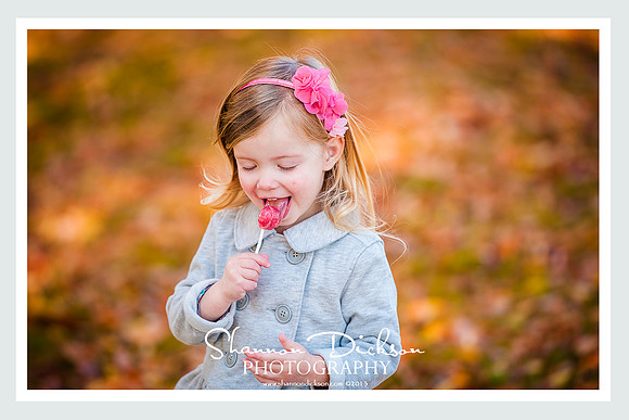 Ballard Park, Ridgefield and Ambler Farm, Wilton CT Family Photographer